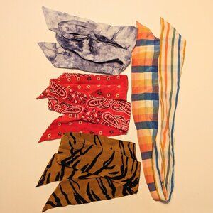 Madewell Skinny Scarf Ascot Bandana ~ Set of Four!